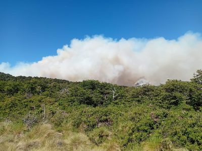 Prohíben encender fuego en los parques Nacionales de la Patagonia