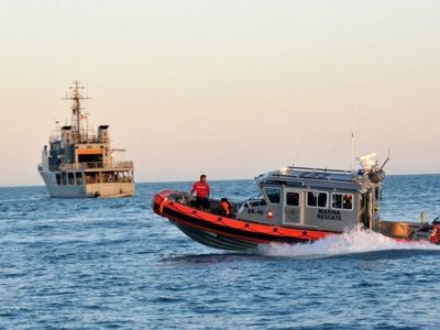 Presumen avances en protección de vaquita marina y totoaba