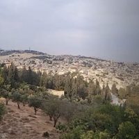 Familia de Irapuato con tres niños clama por ayuda para salir de Israel (Video)