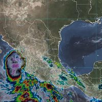 ¿Por qué "Grace" cambiaría de nombre a "Marty"?
