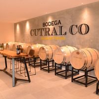 Cutral Co estrenó su bodega “Viñedos del Viento”
