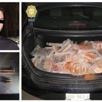 Detienen a canadiense con 69 kg de cocaína en Santa Fe