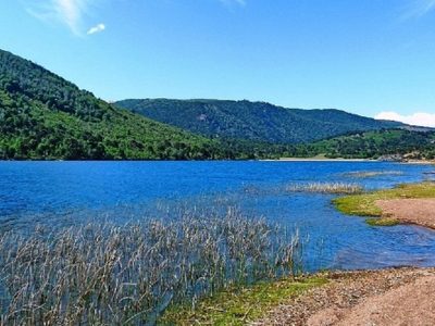 Entre bosques y lago: el destino ideal para acampar cerca de Neuquén