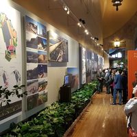 La convivencia entre la ciudad y la naturaleza, posible en Bellas Artes