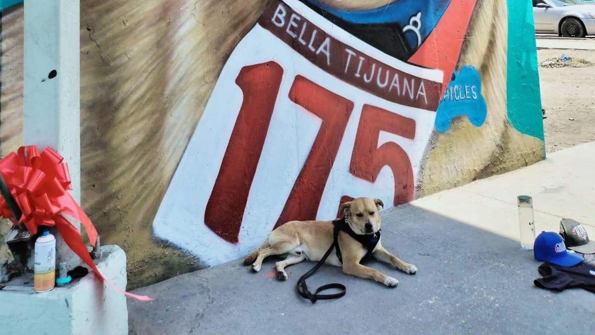 El perrito "Chicles"