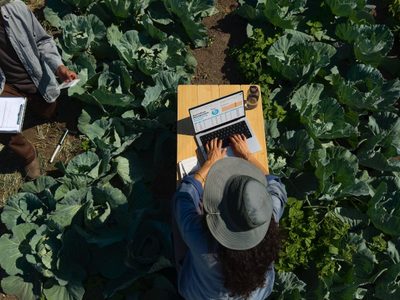Llegan las nuevas MacBook Pro con chips M4; ¿cuánto costarán en México? (Video)