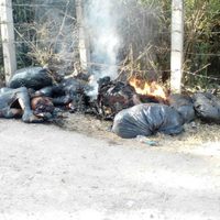 Hallan siete cuerpos desmembrados y semicalcinados en Chilapa, Guerrero