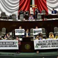 Pese a la resistencia del PAN, PRI y PES, diputados aprueban uso lúdico y legal de la mariguana