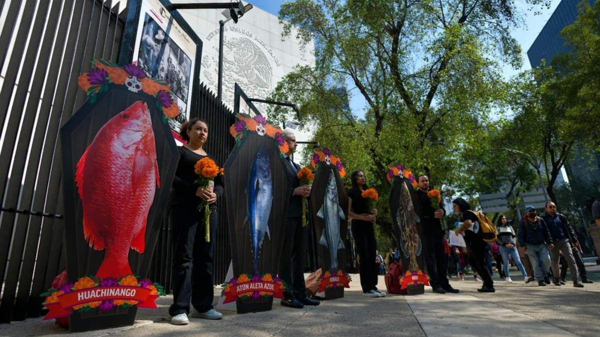 Oceana protesta frente al Senado de la República