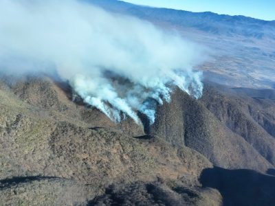Gobierno de Oaxaca anuncia “plan emergente” tras incendio forestal que dejó cinco muertos