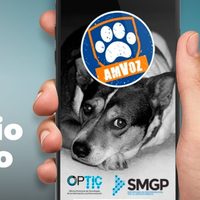 La aplicación para denunciar maltrato animal en Neuquén ha tenido más de 2 mil solicitudes