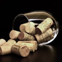 Juntá todos los corchos de vino que ibas a tirar: así podés usarlos para ordenar la alacena en un solo paso