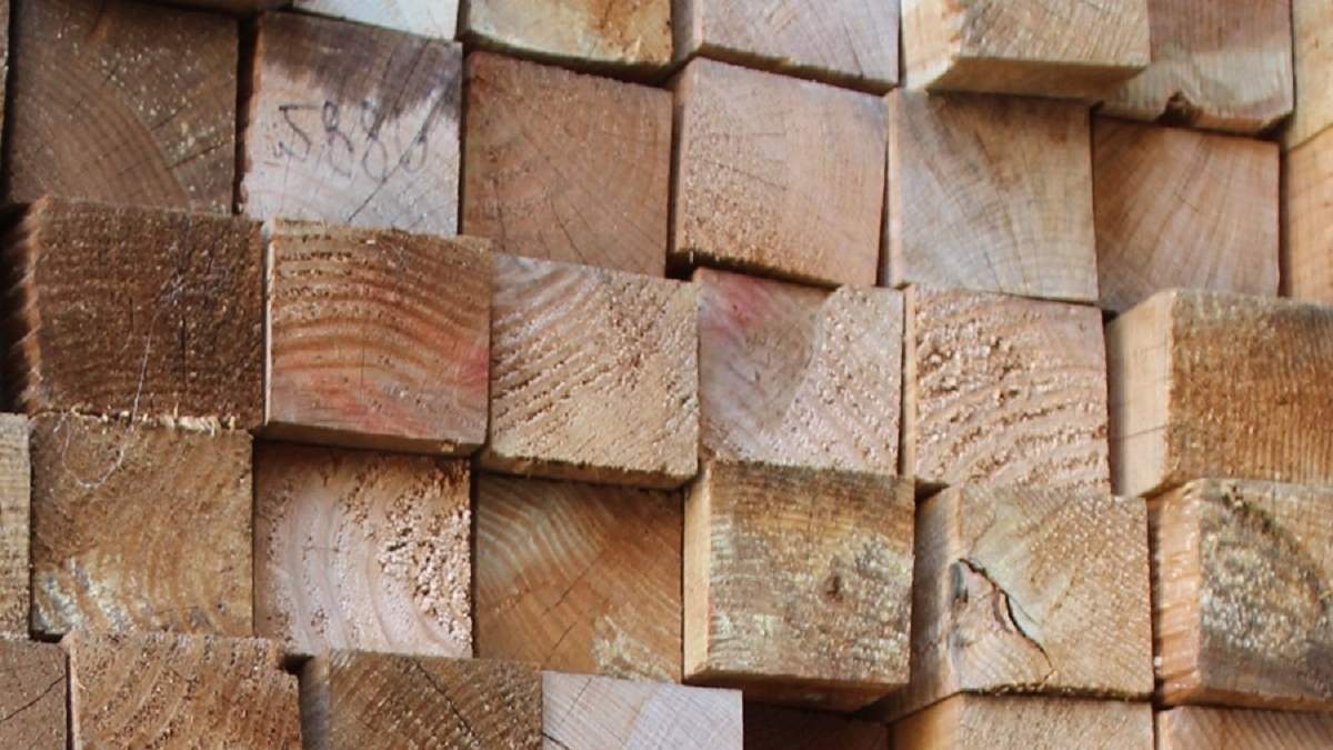 Pedazos de madera. Fuente: (Maderas Gavilan)