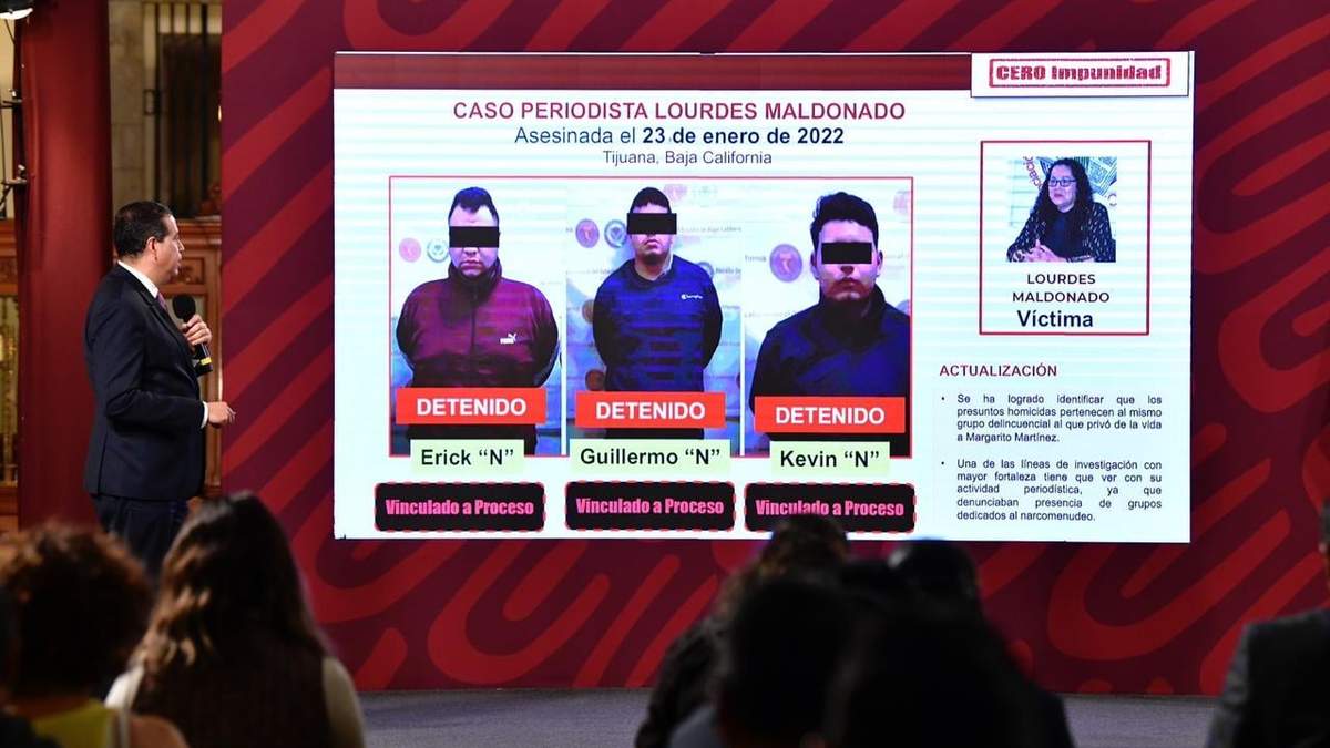 Informe de Ricardo Mejía Berdeja sobre asesinatos de periodistas