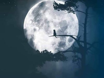 Estas son las fechas de las fases lunares y la lluvia de estrellas para disfrutar en octubre