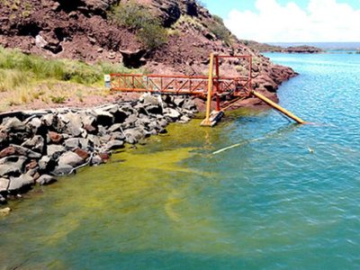 Por la presencia de cianobacterias en Villa El Chocón, el gobierno brindó recomendaciones