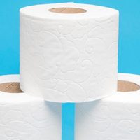 Solo con papel higiénico y esta increíble idea: el objeto decorativo que podés hacer para decorar o regalar
