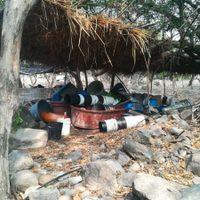 Desmantelan narcolaboratorio de los Caballeros Templarios en Guerrero