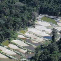 Marcha atrás: el Gobierno de Brasil suspendió los permisos para explorar oro en la Amazonía