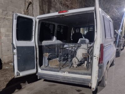 Bienestar animal intervino y se llevó al dogo que mordió a un adulto mayor en el barrio Villa María