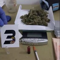 Chocó contra un poste y le encontraron 17 kilos de marihuana en el auto