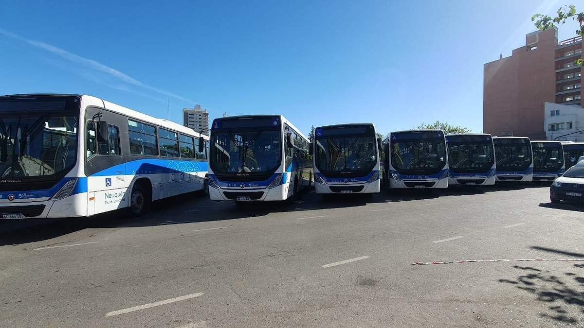Las nuevas unidades saldrán a las calles a partir de las cinco de la mañana. Fuente: (Javier Manzano)