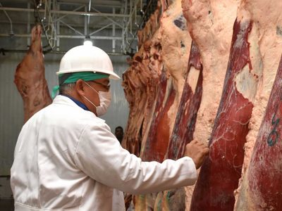 Carne: dos provincias piden a sus gobernadores a que el Estado nacional levante las restricciones