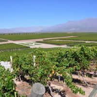 Pronóstico: siguen los días primaverales en Mendoza
