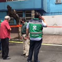 Actualización por sismo: seis muertos, 23 lesionados y 46 municipios con daños menores