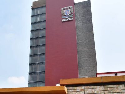 Así se originó el problema de chinches en la UNAM; experta explica si son dañinas y cómo eliminarlas