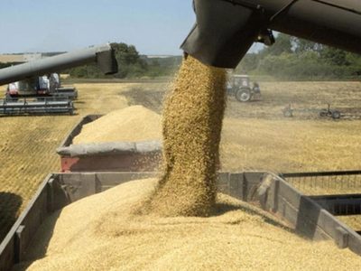 Dólares del campo: el agro aportaría más de u$s36.000 millones por la nueva campaña récord