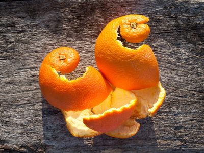 No tires las cáscaras de naranja: mirá lo efectivas que son para alejar a las hormigas de tu jardín o huerta