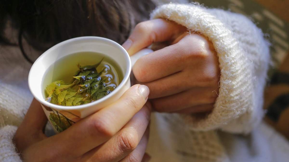 Plantas para infusiones calientes. Fuente: (X)