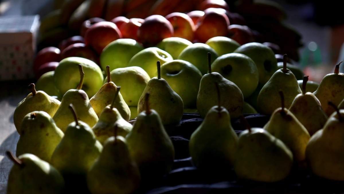 Fomento a la producción fruticola. Fuente: (Twitter)