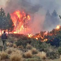6.500 hectáreas arrasadas: incendio fuera de control en El Bolsón