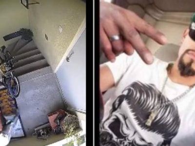 Hombre golpea y avienta de un tercer piso a la perra Enedina en Huejotzingo, Puebla (Video)