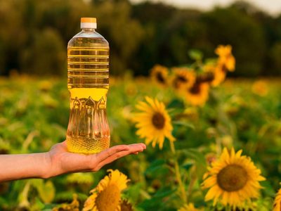Nueva prohibición de la ANMAT: ya no se puede consumir este aceite