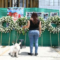 La ONU-DH pide a gobiernos atender a damnificados y organizaciones para enfrentar futuras emergencias