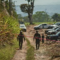 Escalada de violencia en Veracruz: Hallan a tres personas desmembradas en bolsas negras