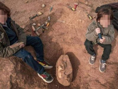 Niño descubre un cráneo de 700 mil años de antigüedad mientras paseaba por la playa