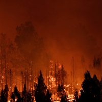 Chubut: denuncian intencionalidad en nuevos incendios en el Parque Nacional Los Alerces