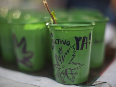UNAM lanza diplomado sobre cannabis; estas son las fechas y la guía de registro