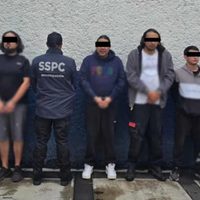 Hallan invernadero de mariguana en CDMX; hay cuatro detenidos vinculados a La Familia Michoacana
