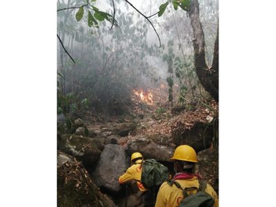 Piden auxilio para sofocar incendio en Santo Domingo Teojomulco, Oaxaca