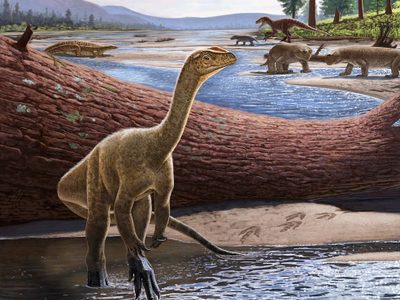 Descubren el dinosaurio más antiguo conocido de África
