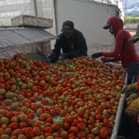 Salario de más de seis millones de trabajadores cayó a dos salarios mínimos entre 2018 y 2020: CEESP