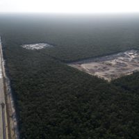 La simulación del cuidado del medio ambiente en México