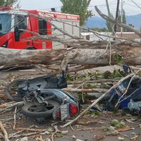 Un motociclista murió aplastado por un árbol en Las Heras y otro resultó herido