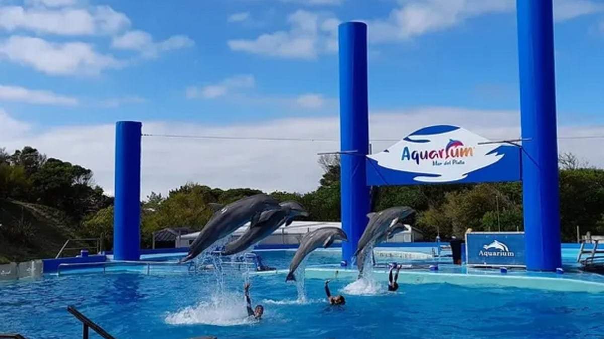 Aquarium de Mar del Plata. Fuente: (Instagram)