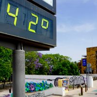 La OMS pide a los países europeos que "tomen medidas" ante las olas de calor extremas